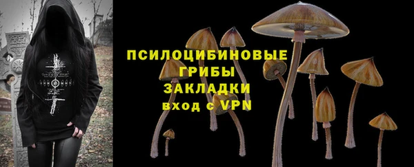 соль курить ск Арсеньев