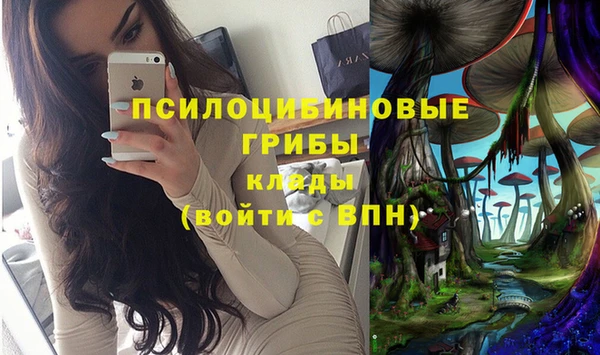 соль курить ск Арсеньев